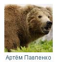 Доброполье12