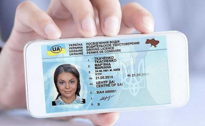 Посвідчення водія знову можна відновити онлайн: як це зробити