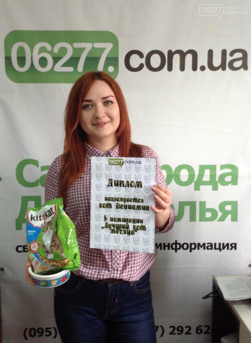 Награждён победитель фотоконкурса "Март - кошачий месяц"!, фото-2 Награждён победитель фотоконкурса "Март - кошачий месяц"!, фото-2