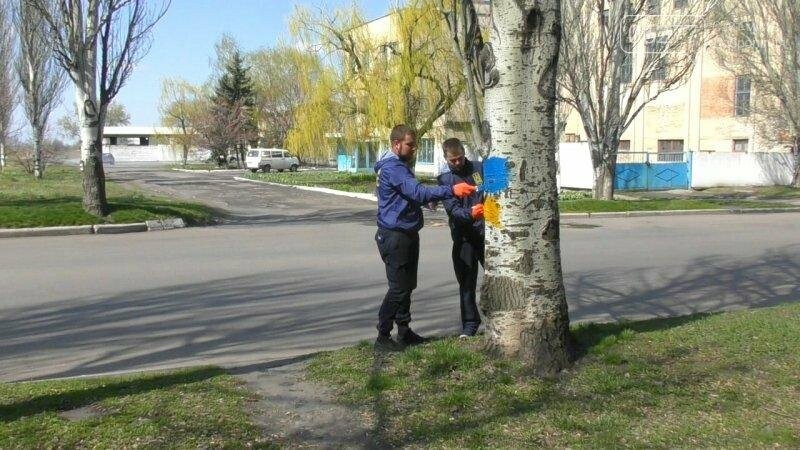 Активисты в Доброполье самостоятельно вернули национальную..., фото-5 Активисты в Доброполье самостоятельно вернули национальную символику на главные улицы, фото-5