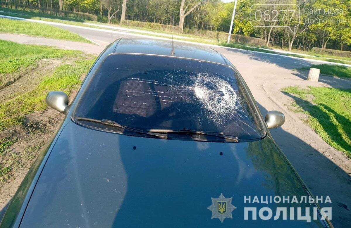 У Добропіллі п'яний водій наїхав на поліцейського, фото-1