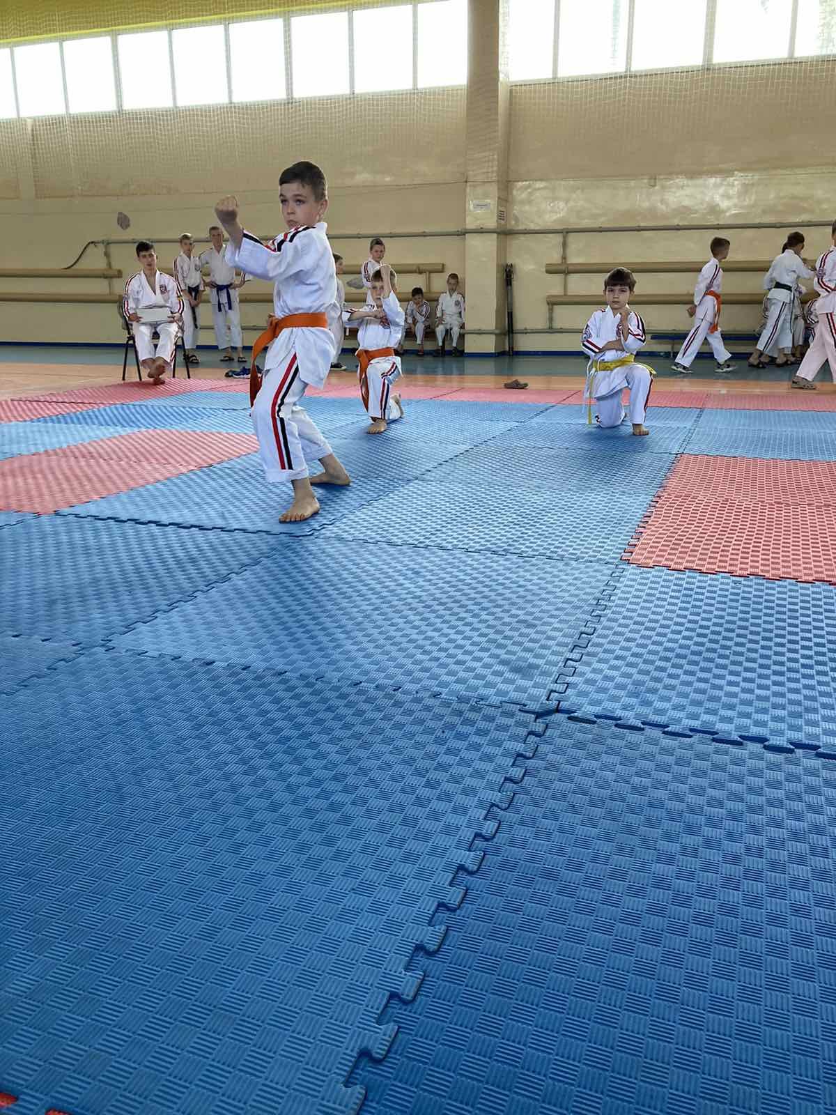 Добропільські каратисти - чемпіони та призери Чемпіонату України з косіки карате