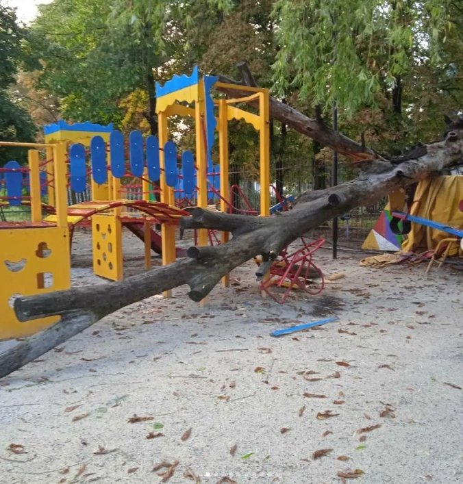 На території Білицького міського парку було повалено дерева: тривають роботи з ліквідації 