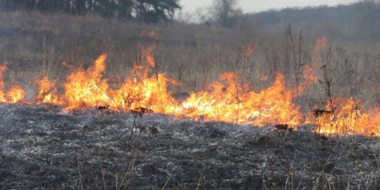 Более 260 пожаров произошло в Донецкой области за неделю